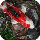 Zen Pond APK