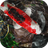 Zen Pond APK