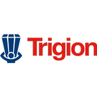 Trigion icône