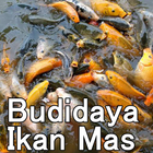 Budidaya Ikan Mas icon