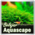 Belajar Aquascape-icoon
