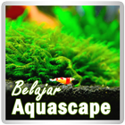 Belajar Aquascape icône