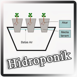 Hidroponik