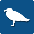 Rügen Reiseführer APK