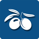 Tuscany Travel Guide APK