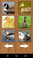 Cute Funny Duck Sounds 스크린샷 2