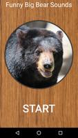 有趣的大熊的聲音 海報