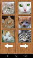 3 Schermata Funny Cat Kitten Sounds