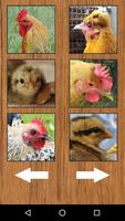 برنامه‌نما Funny Chicken Rooster Sounds عکس از صفحه