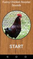 Poster Funny Chicken Rooster Sounds