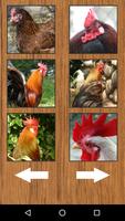 Funny Chicken Rooster Sounds capture d'écran 1