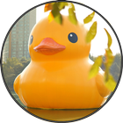 Funny Rubber Duck Sounds icône