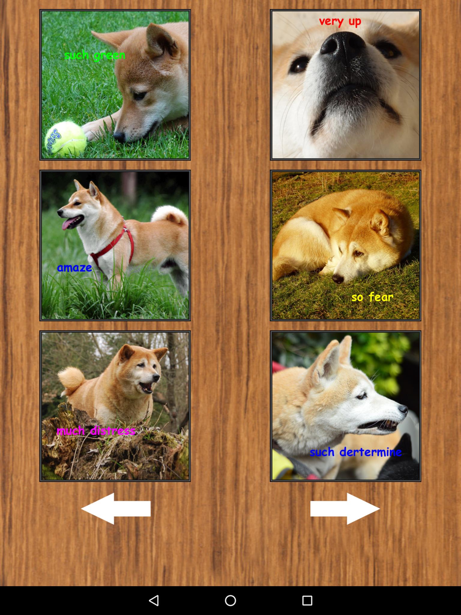 Many Doge Shiba Inu Sounds For Android Apk Download - doge island roblox