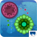 Bacteris