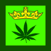 APK The Weed Game