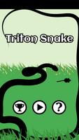 Triton Snake Affiche