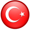 Türk BROWSER