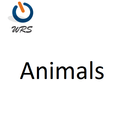 Animals 图标
