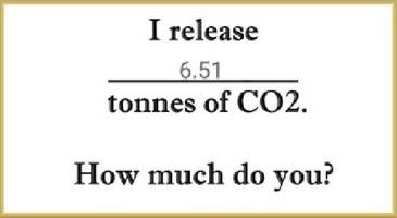 See How Much You Pollute capture d'écran 2