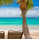 tropical beach live wallpaper APK