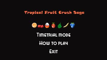 Tropical Fruit Blitz ポスター