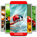 HD Bug Wallpapers 4K