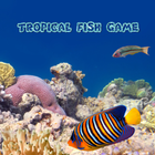 Tropical Fish Game ikona