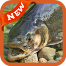 Trout Wallpaper APK