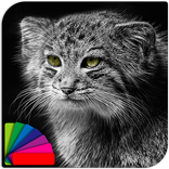 Theme - Manul