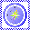 Virtual Compass Pro APK