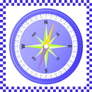 Virtual Compass Pro APK