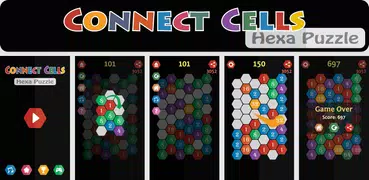 Connect Cells - Hexa Puzzle