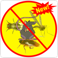sound anti insect prank