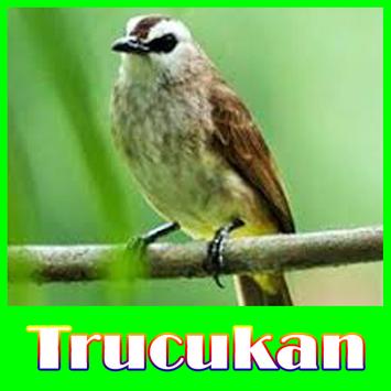 Trucukan Master Apk App Free Download For Android