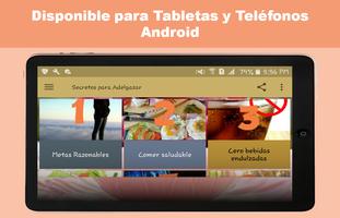 Secretos para Adelgazar تصوير الشاشة 3