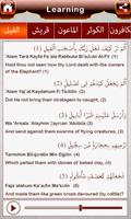 Surah learning & Quiz (Quran) captura de pantalla 3