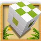 True Puzzle icon