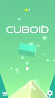 Cuboid poster
