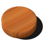 Dutch Shuffleboard icon