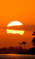 برنامه‌نما Beautiful Sunset Wallpaper HD عکس از صفحه