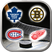 Logo Ice Hockey Quiz