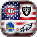 Logo Usa Sports Quiz APK