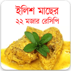 ইলিশ মাছের মজাদার ২২ রেসিপি biểu tượng