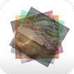 Nature Blend-Mix, fx & overlap
