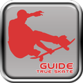 Guide True Skate