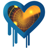 HeartBleed Detector