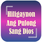 Hiligaynon Bible (Ilonggo) icône