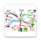 Mind Map Free v2 иконка