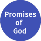 Promises of God-icoon