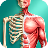 Discover Human Body - Physiology of Human Organs APK